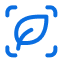 image_url
